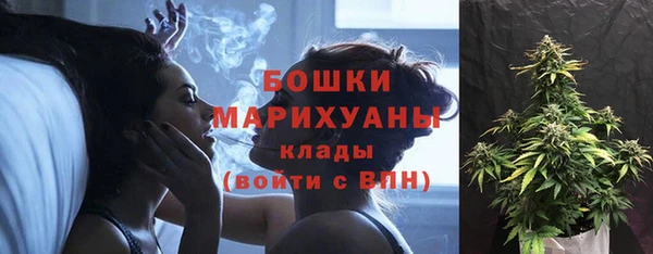 стаф Володарск