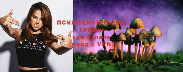 MDMA Верхний Тагил