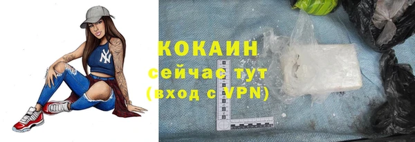 стаф Володарск