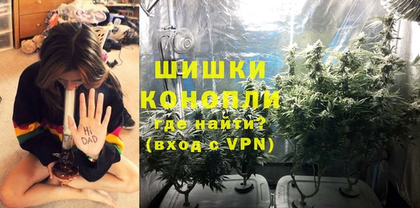стаф Володарск