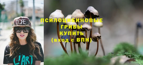 MDMA Premium VHQ Волоколамск