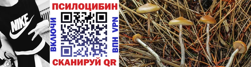 Галлюциногенные грибы ЛСД  закладки  Инсар 